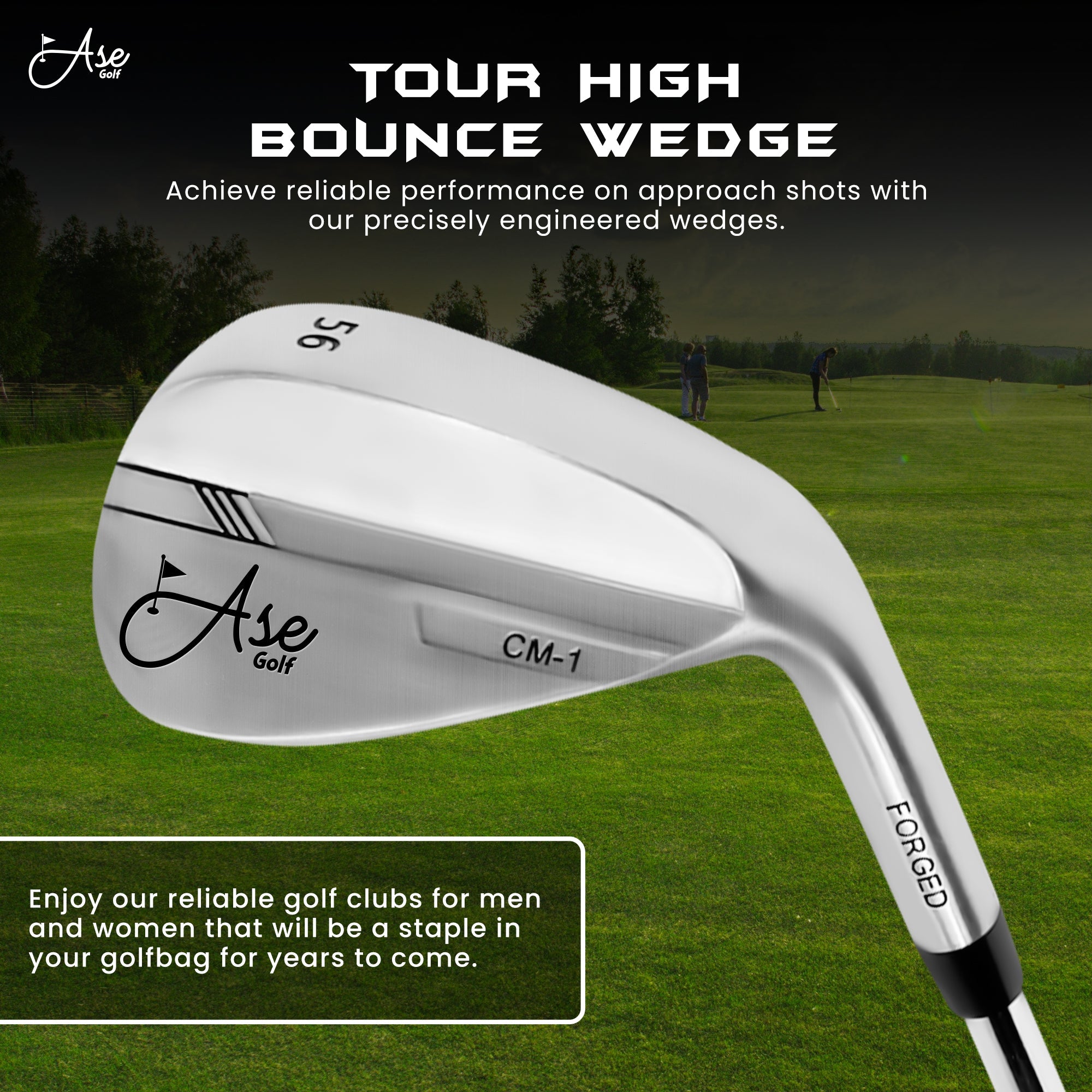 Ase 3-Piece Wedge Set